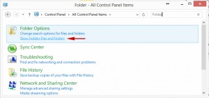 how-to-show-hidden-files-windows-8