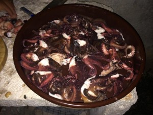 Octopus prepared Dalmatia Style  